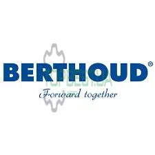 493303 Трикутник Berthoud