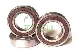 6005 Пiдшипник Kverneland