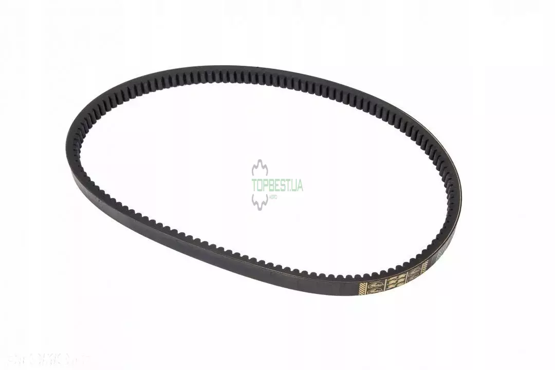 80439832 Ремінь Harvest Belts 80439832 Ремінь Harvest Belts