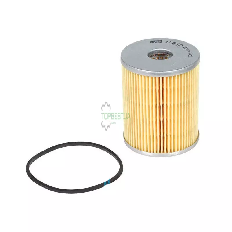 P810X Фільтр паливний (вставка) [MANN]