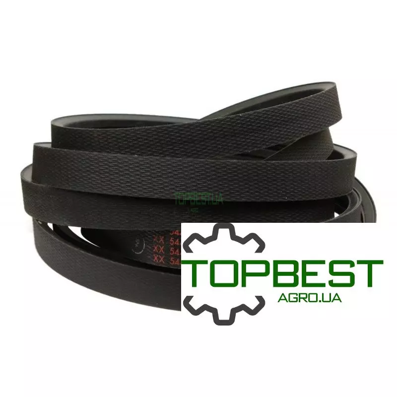 544172 Ремінь багатоклиновий [Claas Original]