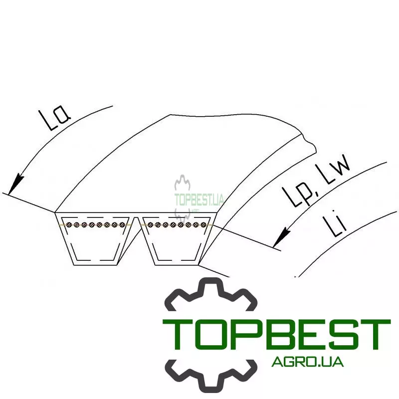 84175581 Ремінь багатоклиновий 2HB128 [Carlisle]