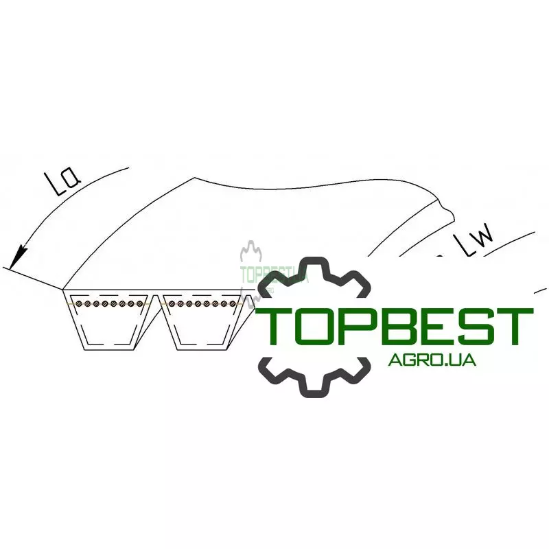 980851 Ремінь багатоклиновий AP1003631 [Optibelt ]