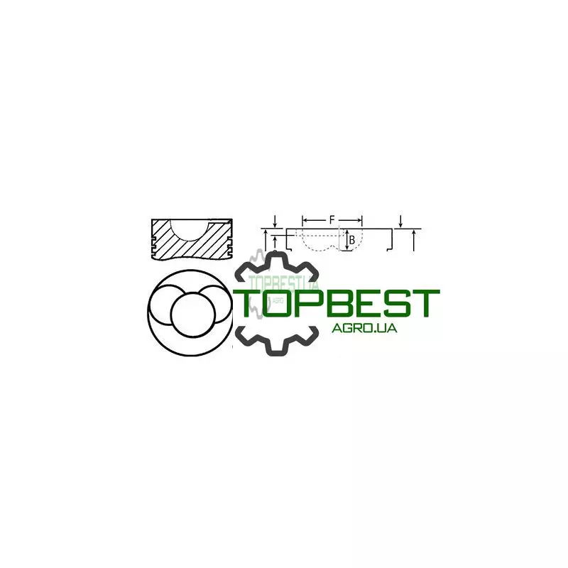 836655269 Поршень з пальцем двигуна - Valmet [Bepco]