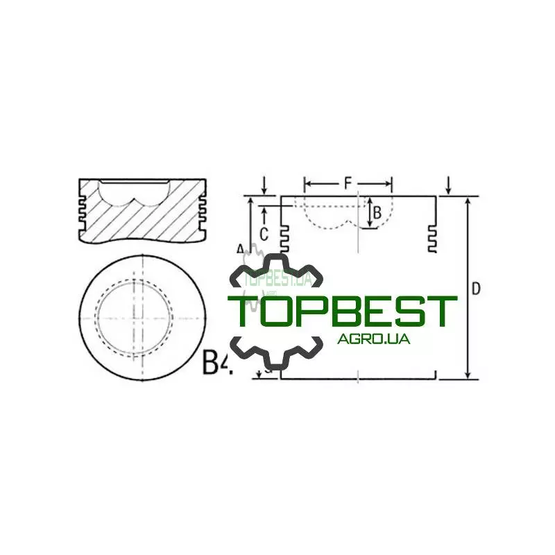 RE28920 Поршень з пальцем двигуна - John Deere [Sonne]
