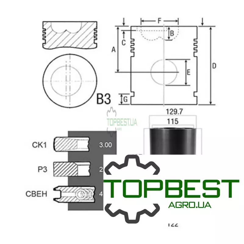 SF30553 Поршнекомплект двигуна Fiat, (3 кільця), [Bepco]