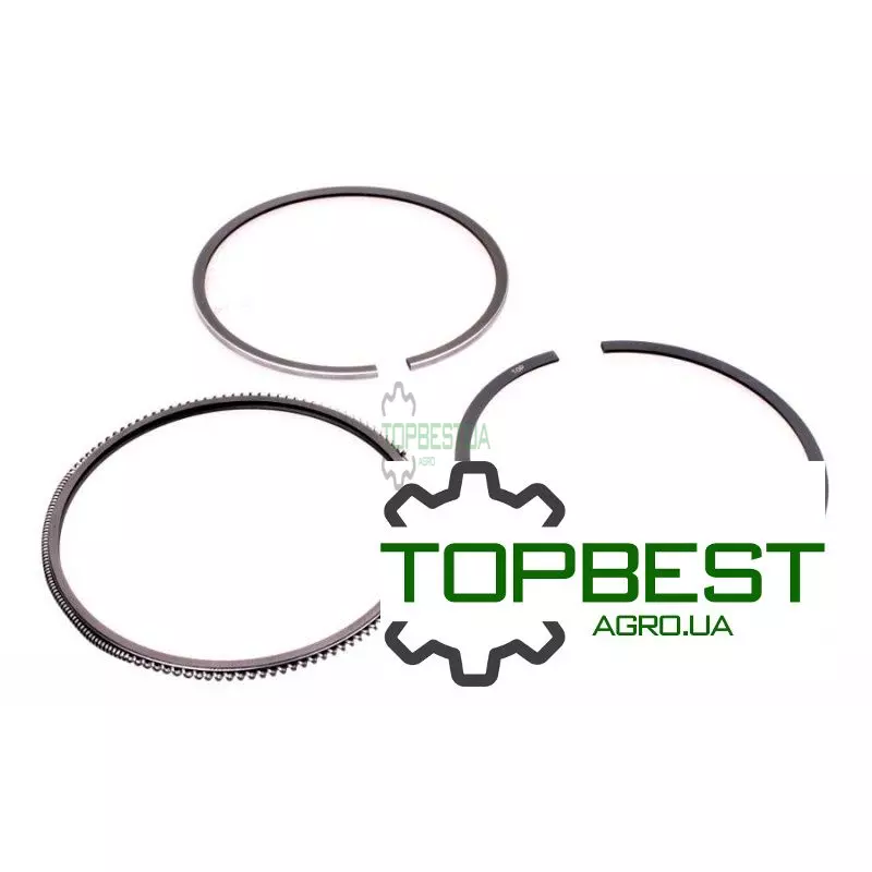 04230683 Поршневі кільця Deutz Fahr двигуна Deutz, (3 кільця), [Bepco]