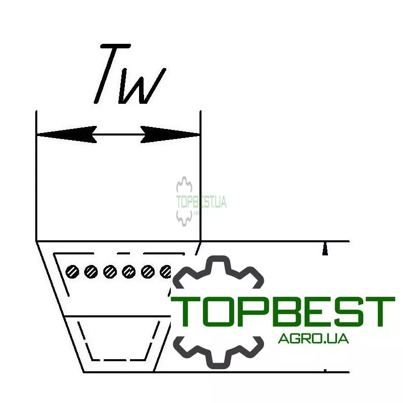 735416 Привідний клиновий ремінь AX46 [Carlisle] Class