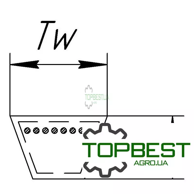 H77766 Привідний клиновий ремінь C-3940 (C153) [Roulunds]