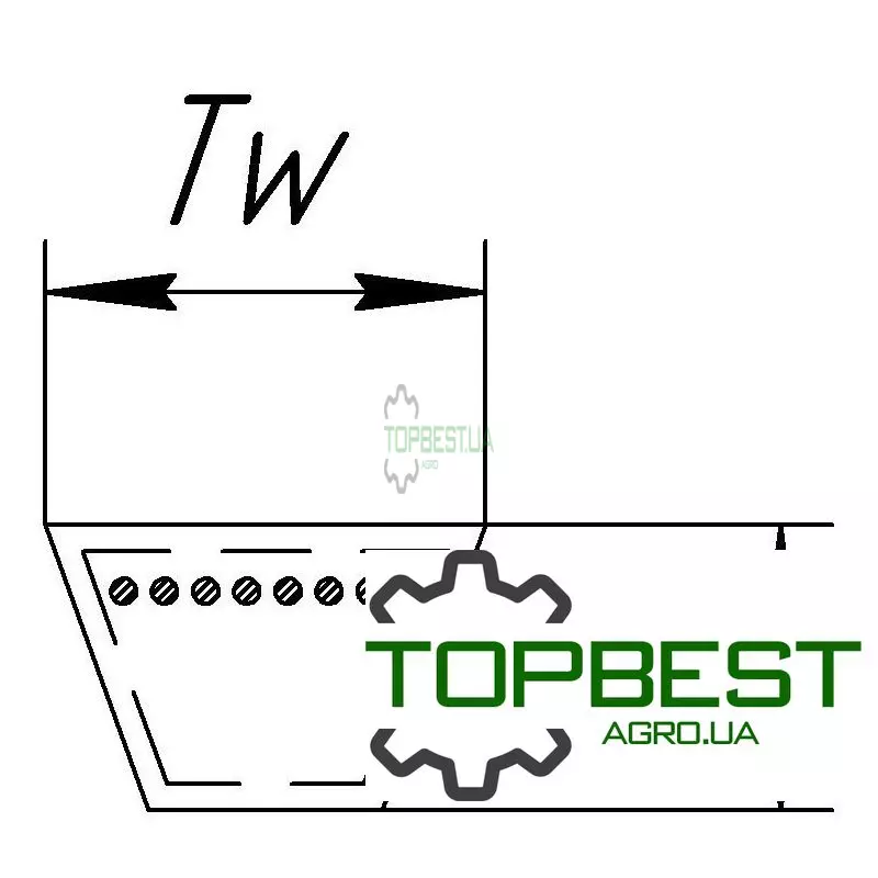 84449765 Привідний клиновий ремінь C-4561 (C177) [Roulunds]