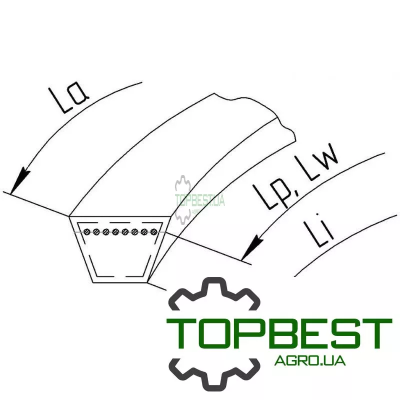H137830 Привідний клиновий ремінь C-8015 (C314) [AM]