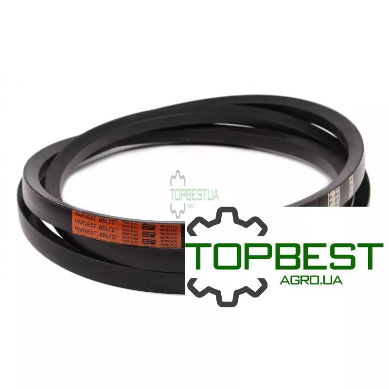 D41986100 Привідний ремінь [Massey Ferguson] Cx3025 Harvest Belts [Stomil]
