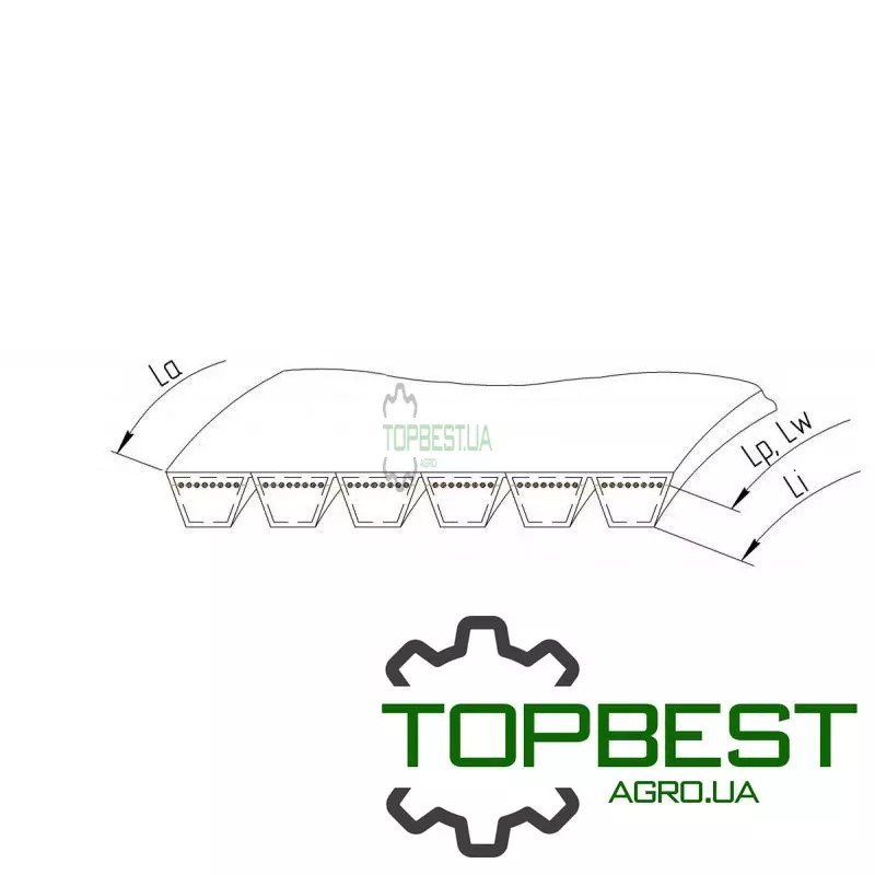 6201249 Ремінь багатоклиновий [Rostselmash] 6HB-3600 Reinforced [Stomil]