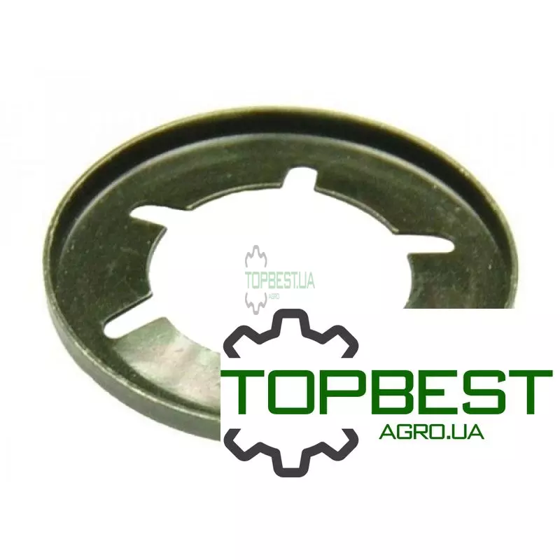 238907 Шайба Claas [Original]