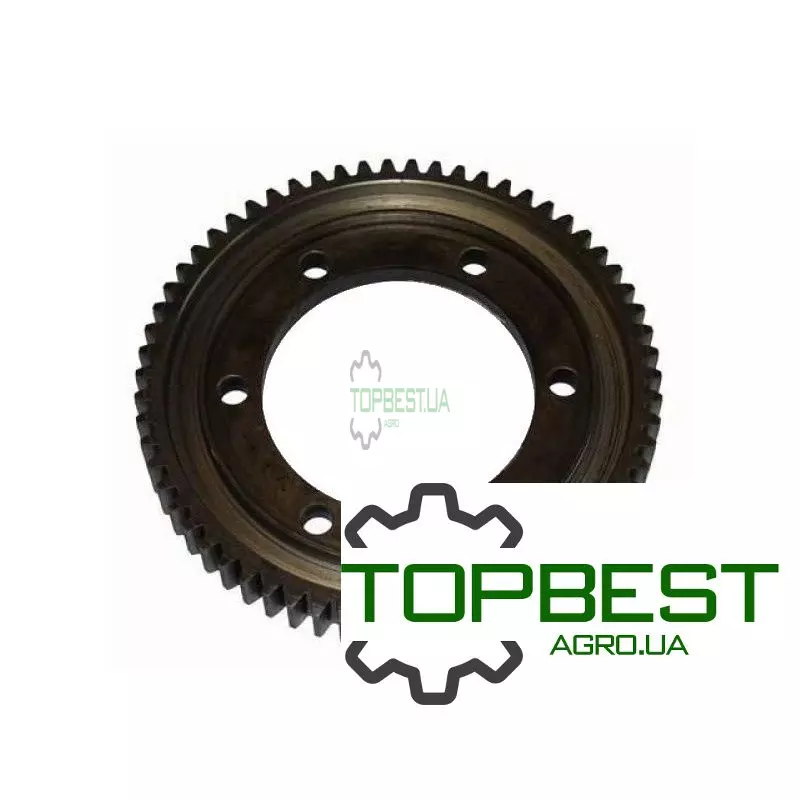 416955M1 Шестерня - Massey Ferguson