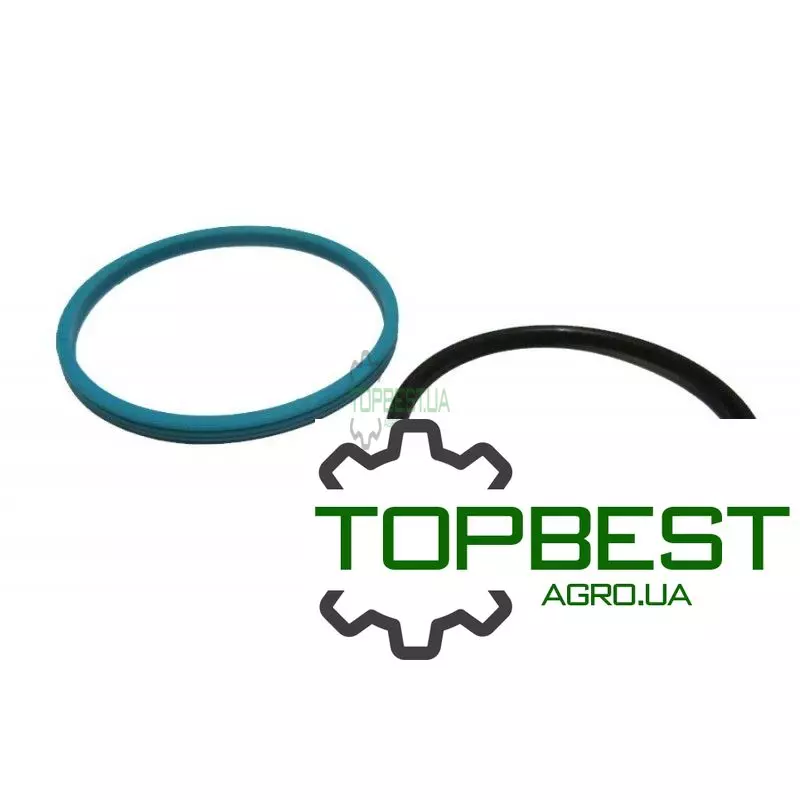 213233 Ущільнення поршня - Claas Original