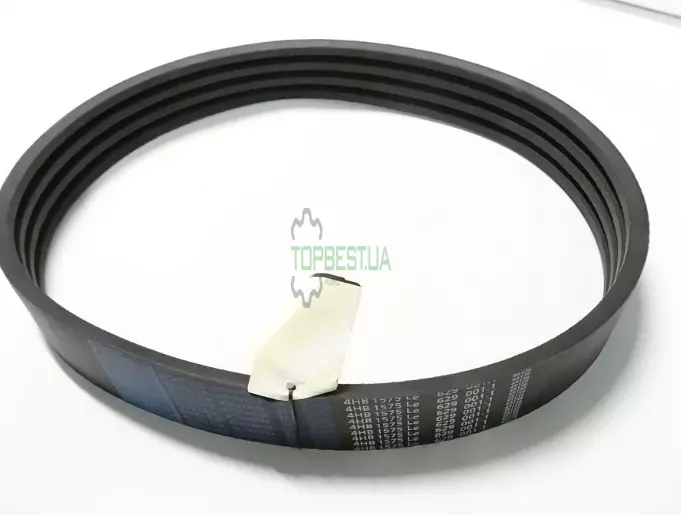 629001 Ремінь багатоклиновий Claas [Stomil Harvest]